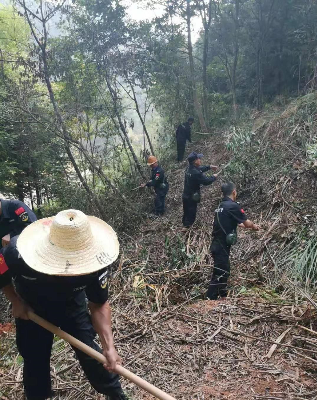 干好每一天|青山掛白我復(fù)綠，無私奉獻(xiàn)金森人——資源保護(hù)部義務(wù)突擊隊(duì)工作記實(shí)