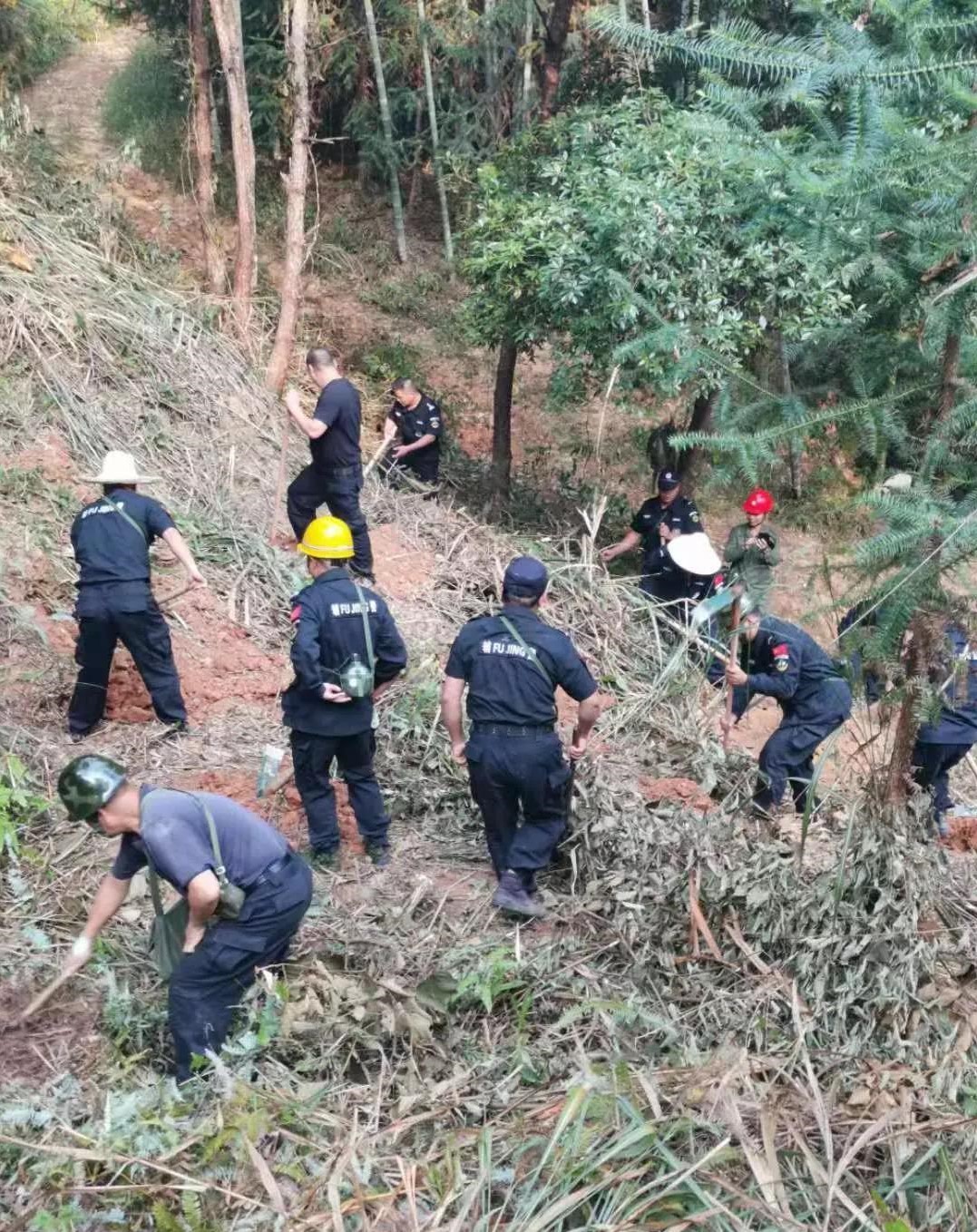 干好每一天|青山掛白我復(fù)綠，無私奉獻(xiàn)金森人——資源保護(hù)部義務(wù)突擊隊(duì)工作記實(shí)