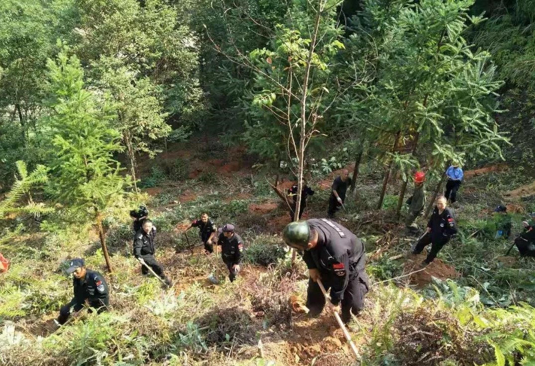 干好每一天|青山掛白我復(fù)綠，無私奉獻(xiàn)金森人——資源保護(hù)部義務(wù)突擊隊(duì)工作記實(shí)