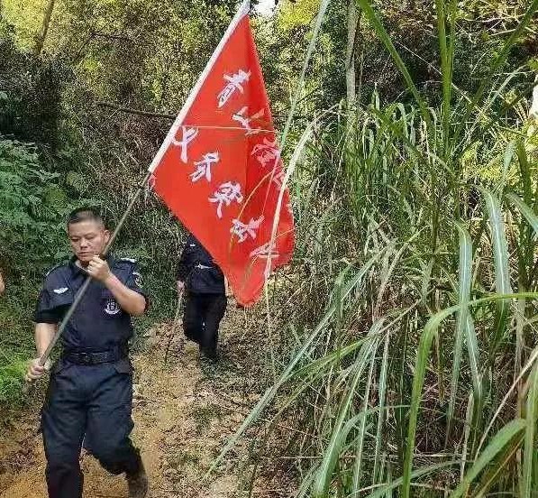 干好每一天|青山掛白我復(fù)綠，無私奉獻(xiàn)金森人——資源保護(hù)部義務(wù)突擊隊(duì)工作記實(shí)