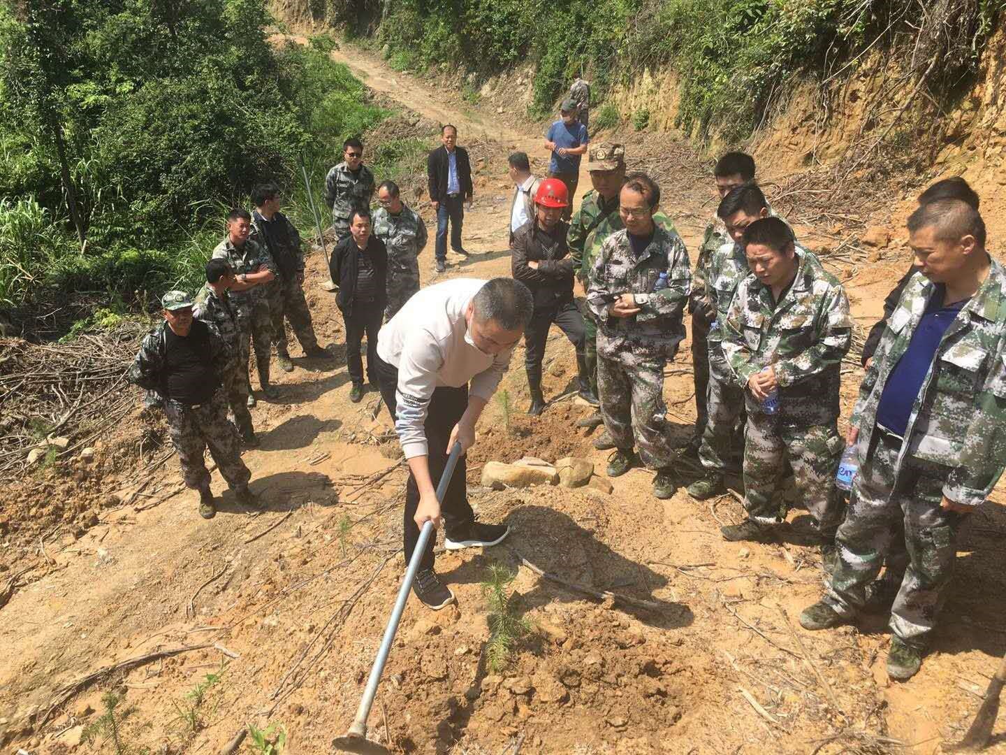 福建金森召開幼林撫育現(xiàn)場會