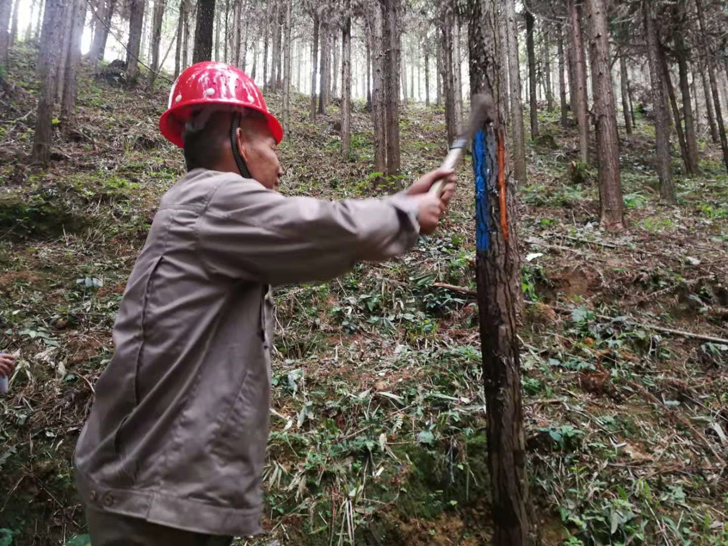 支部結(jié)對共建 促進(jìn)黨建業(yè)務(wù)“雙提升”